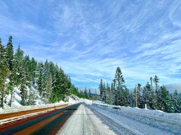 istock Road Trip - Mt. Hood, Oregon 1454286904