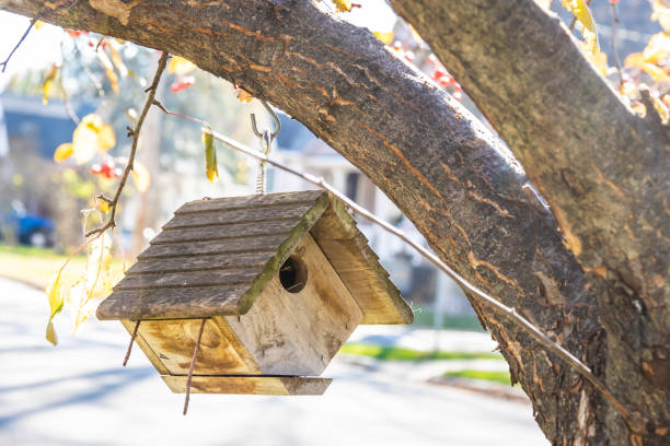istock A small birdhouse hanging on a tree in late fall 1454287338