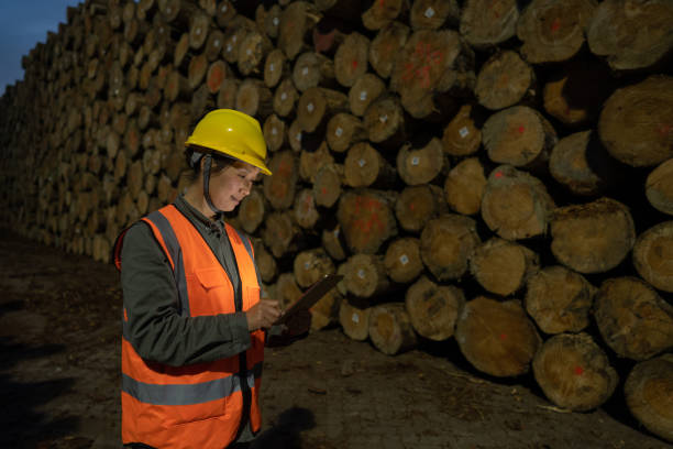 istock A female worker uses a tablet computer to work at the timber port 1454288400