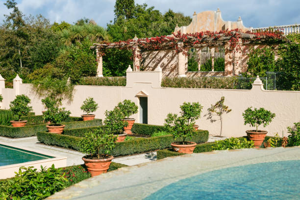 istock Formal garden design with shrubs and box hedge in Spanish style. 1454296642
