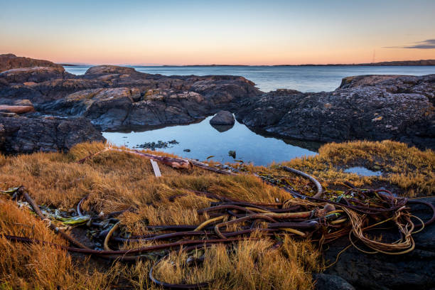 istock Vancouver Island Sunset 1454297598
