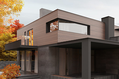 Modern and luxurios villa with wooden panels and black stone facade. Autumn nature background. 3d rendering.