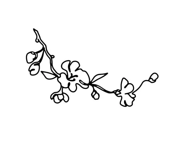 Vector illustration of Cherry branch with flowers one line art hand drawn black and white illustration