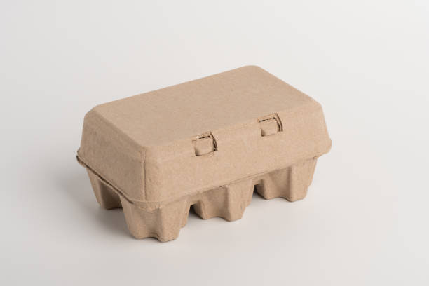 istock Chicken egg in paper carton. 1454305239