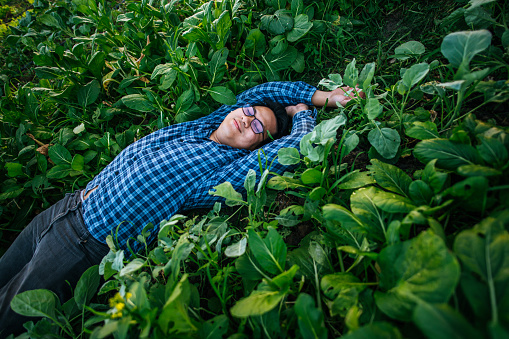 Portrait of Happy Asian farmer man rested comfortably in the middle of the field after finishing his work. Agricultural business, relexing and lifestyle concepts.