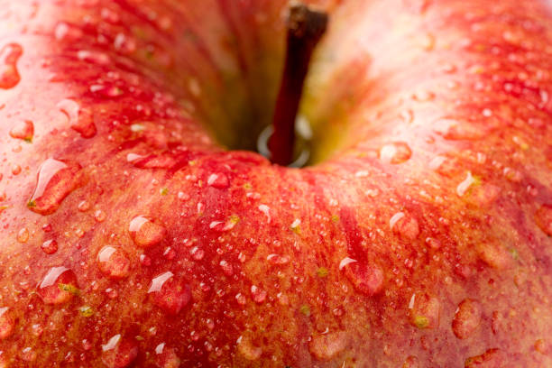 istock Apple with a drop of water 1454307044