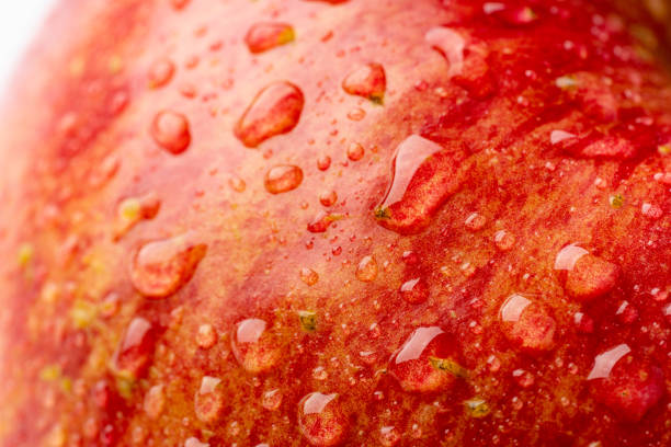 istock Apple with a drop of water 1454307057