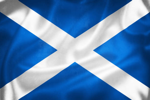 grunge 3d illustration der schottischen flagge - croatian culture stock-fotos und bilder