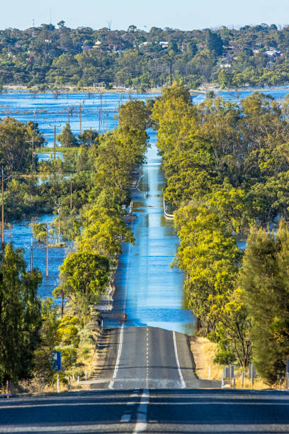 istock Looking down flooded tree-lined major Riverland highway on River Murray in South Australia 1454309865