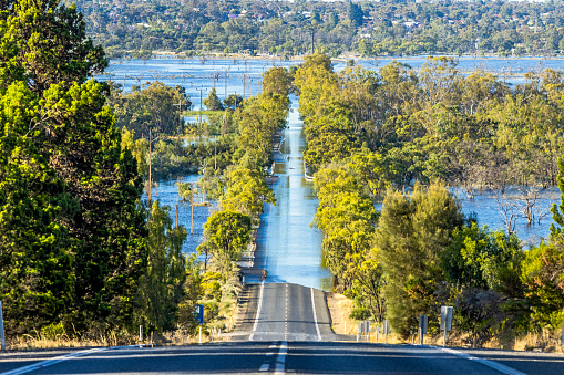 Looking down flooded tree-lined Bookpurnong Road, the main Loxton to Berri connector road on River Murray in South Australia: flooded Gurra Gurra floodplain, bridge over Gurra Gurra Creek in centre frame, town of Berri in the distance on tree-covered hills.