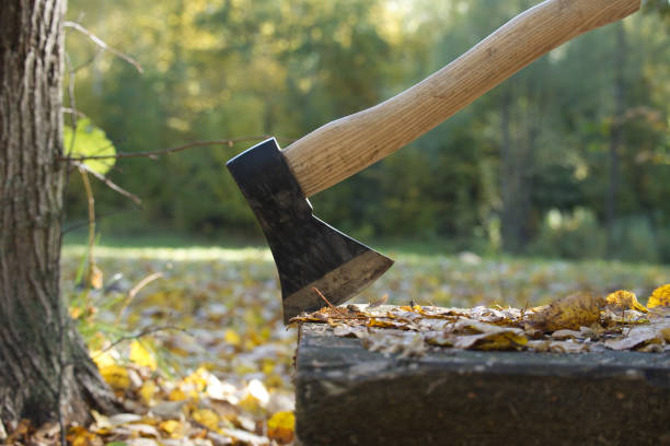 istock Hatchet or ax standing upright in a tree stump 1454310830