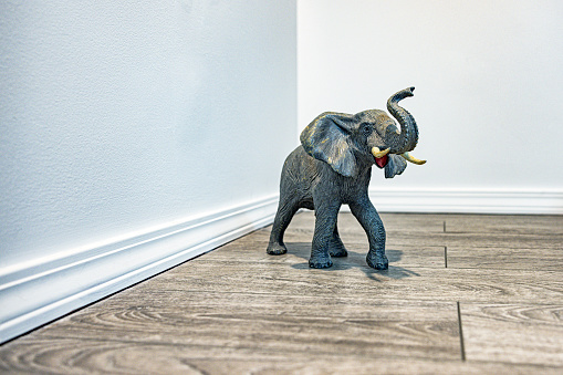 A large toy elephant standing near the corner of an otherwise empty, blank white walled room. Conceptually portraying the often unspoken \