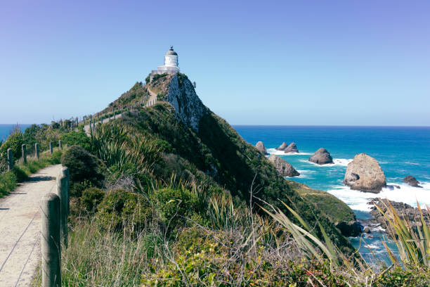istock Nugget Point Lighthouse, from the trail, Catlins, New Zealand 1454314635