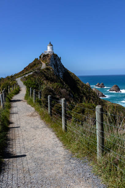istock Nugget Point Lighthouse, from the trail, Catlins, New Zealand 1454314644