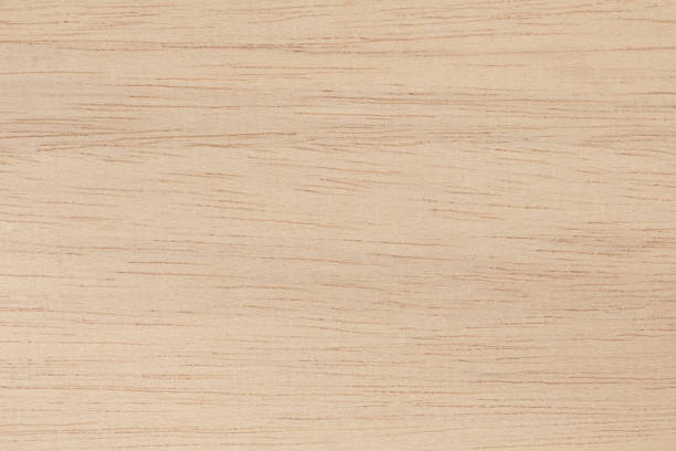 istock Plywood texture background, wooden surface in natural pattern for design art work. 1454318747