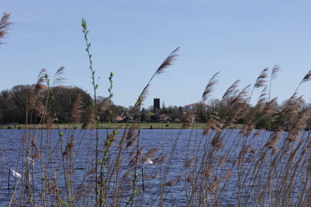 istock Sunny spring day at the Zwischenahner Meer 1454320029
