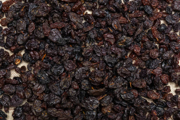 istock Dried black raisins. Raisins are obtained by dehydrating fresh grapes. Texture 1454321120