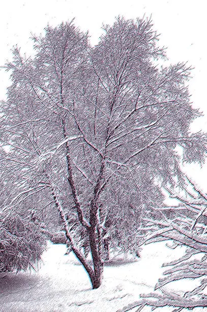 Vector illustration of River Birch Tree and Snow with Glitch Technique