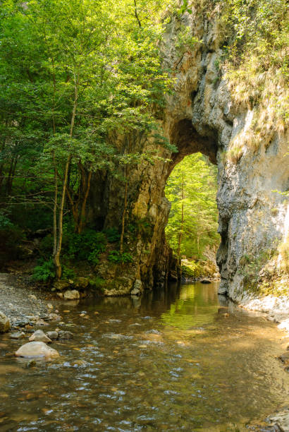 istock A mountain stream flowing through a canyon narrowed by vertical stone walls. The sharp, rocky cliffs of Ramet Gorges or Cheile Rametului ( Romania) during summer season in a sunny day. Natural tunnel 1454328420