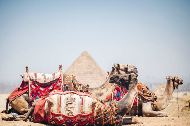 istock Closeup of the pyramids in Cairo, Egypt 1454328919