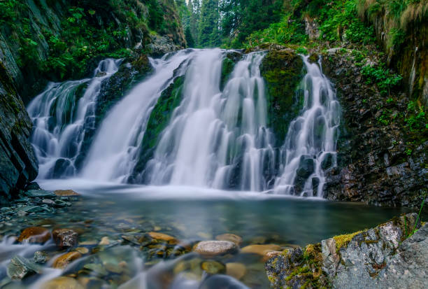 istock Beautiful mountain rainforest waterfall with fast flowing water and rocks, long exposure. Natural seasonal travel outdoor background with sun shining. Stream waterfall on rocks in the forest 1454328921