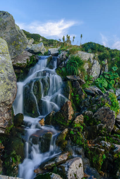 istock Beautiful mountain rainforest waterfall with fast flowing water and rocks, long exposure. Natural seasonal travel outdoor background with sun shining. Stream waterfall on rocks in the forest 1454329711