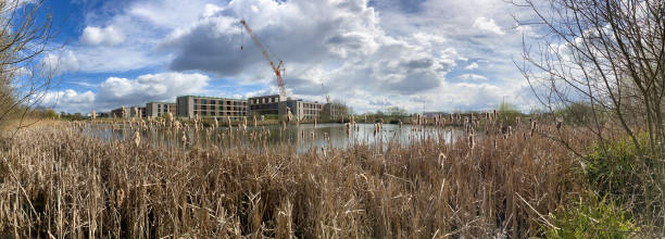 istock View to the construction area with crane 1454334790