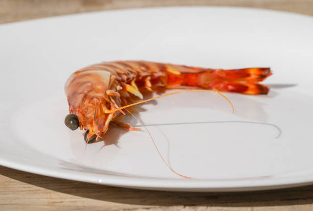 Fresh tiger prawn on a plate not yet prepared