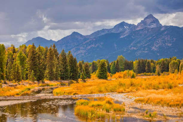 istock Mesmerizing view of a forest on a warm and bright autumn day 1454337211