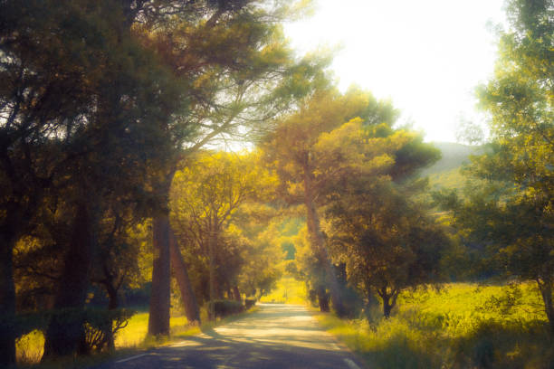 Peaceful scene in nature photography edited oil painting