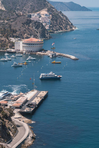 istock High angle shot of Avalon, USA 1454340955