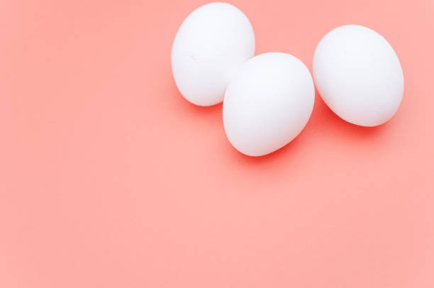 istock isolated white eggs on a white and salmon pink background with text space 1454341148