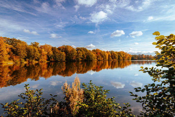 istock Mirror lake and its surrounding forest in the fall colors 1454343089