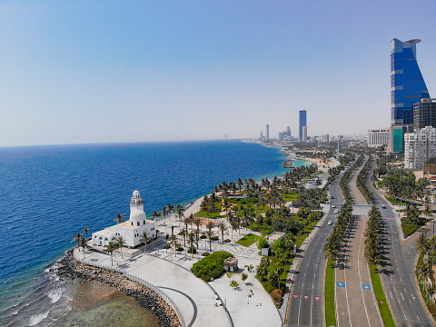 An aerial view of a beautiful seaside park with palms and cityscape in the Saudi Arabia