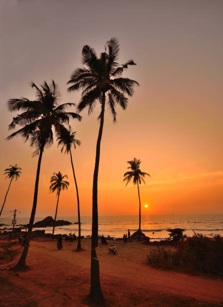 istock Sunset over Ozran Beach in Vagator, Goa with coconut trees in the background. 1454343834