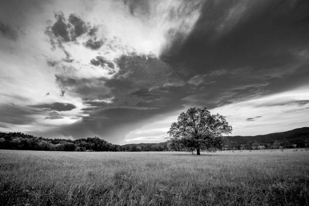 istock Beautiful grayscale shot of mountains and clouds on them. 1454344354