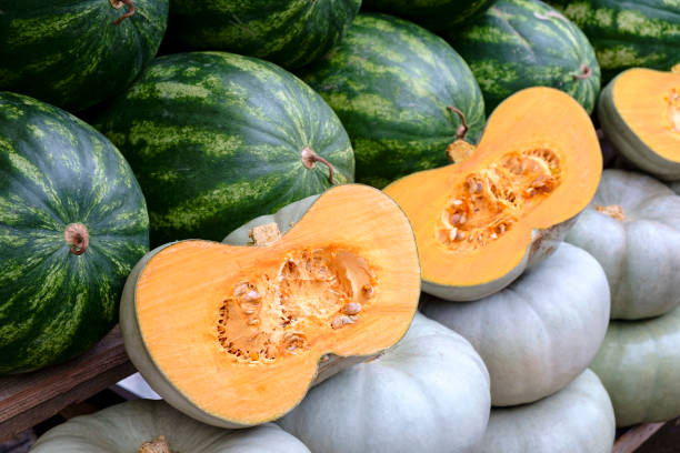 istock Many big sweet green watermelons 1454345122
