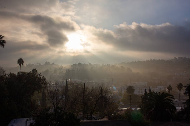 istock Los Angeles Morning God Rays 1454347362