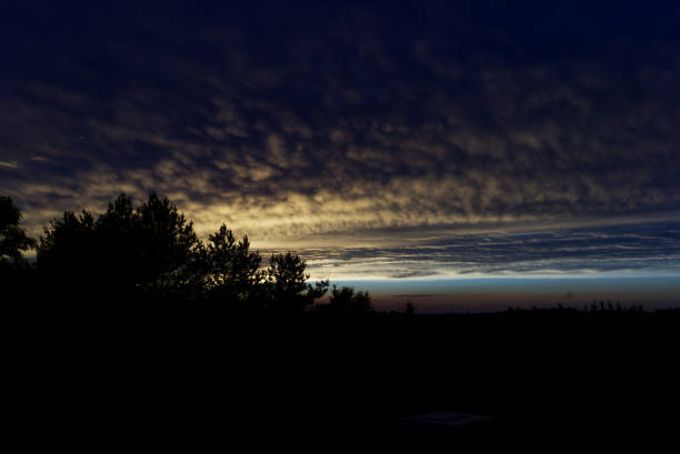 A beautiful view of a landscape with trees under the sunset sky