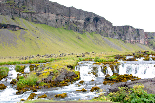 The photo shows an image of a river with rapids and waterfalls and a flowering field against the backdrop of basalt mountains in summer in Iceland