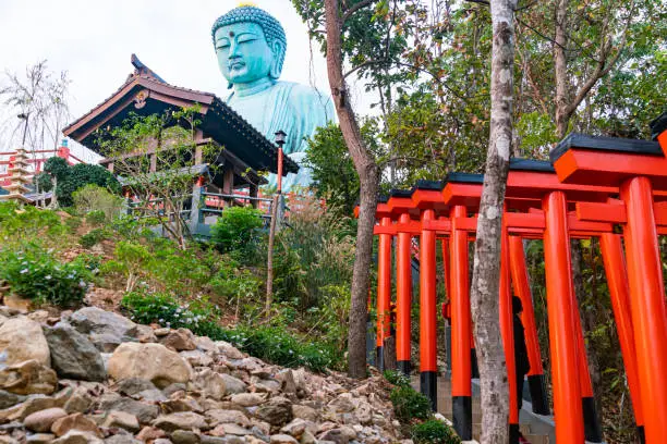 Big seated Buddha Statue on the mountain at Doi Phra Chan in Lampang Province with the red Torii and wooden building.