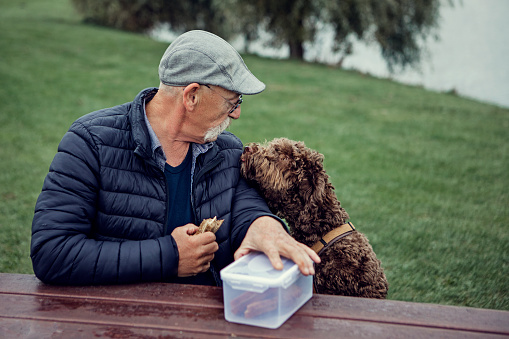 Stylish man enjoying a picnic with his dog