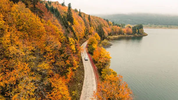Photo of aerial view of white car on road through colorful autumn forest, aerial view of country road in autumn forest, forested road passing by a mountain lake, forest road and lakeside in autumn colors, autumn background road and lake, Lake Abant Nature Park