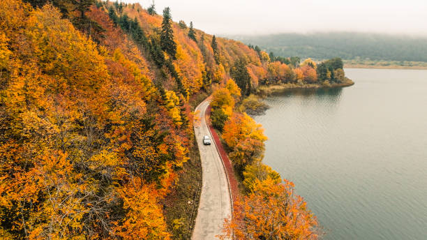 aerial view of white car on road through colorful autumn forest, aerial view of country road in autumn forest, forested road passing by a mountain lake, forest road and lakeside in autumn colors, autumn background road and lake, lake abant nature park - road highway winding road mountain imagens e fotografias de stock