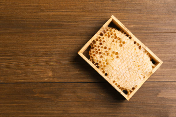 istock Honeycomb frame on wooden table, top view with space for text. Beekeeping tool 1454358822