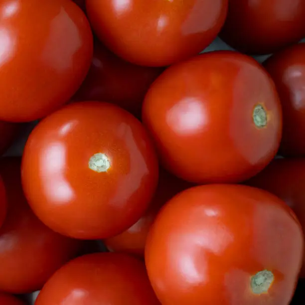 delicious fresh tomatoes close up, food background