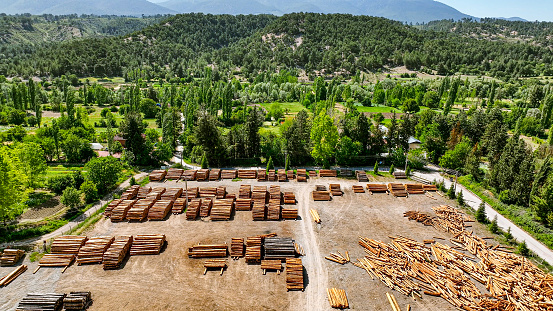 aerial lumber pile, firewood, trees cut from forest, wood used as raw material, wood for paper production, aerial view of sawn trees