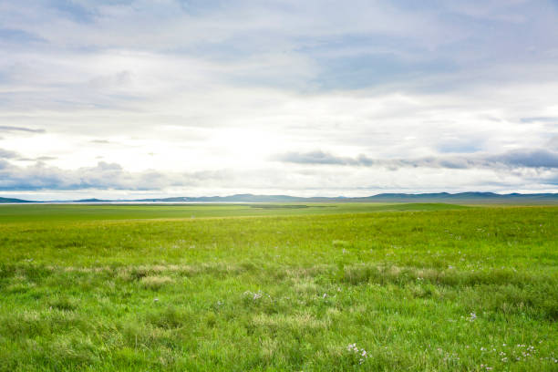 istock green prairie  landscape in summer 1454360224