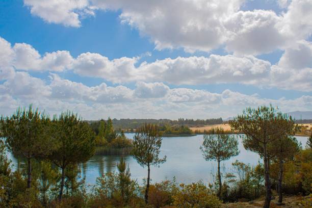 istock Beautiful blue sky with clouds over a lake surrounded by trees. 1454361241