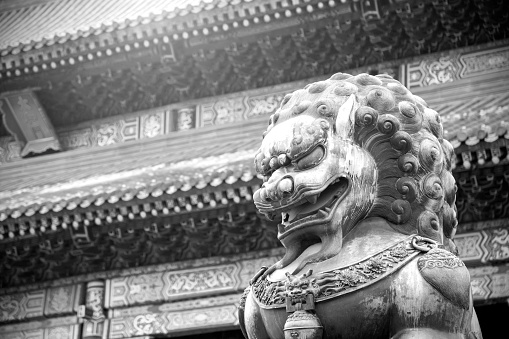 Chinese gold lion isolated on white background, selective focus on the head of a lion.